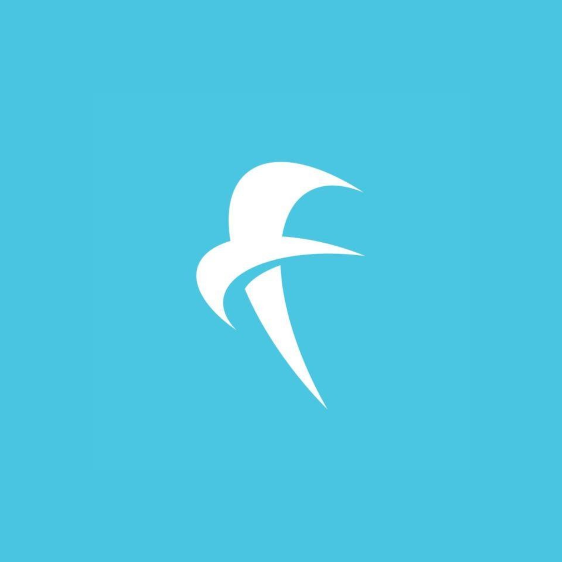 FOCUS – FISIOTERAPIA